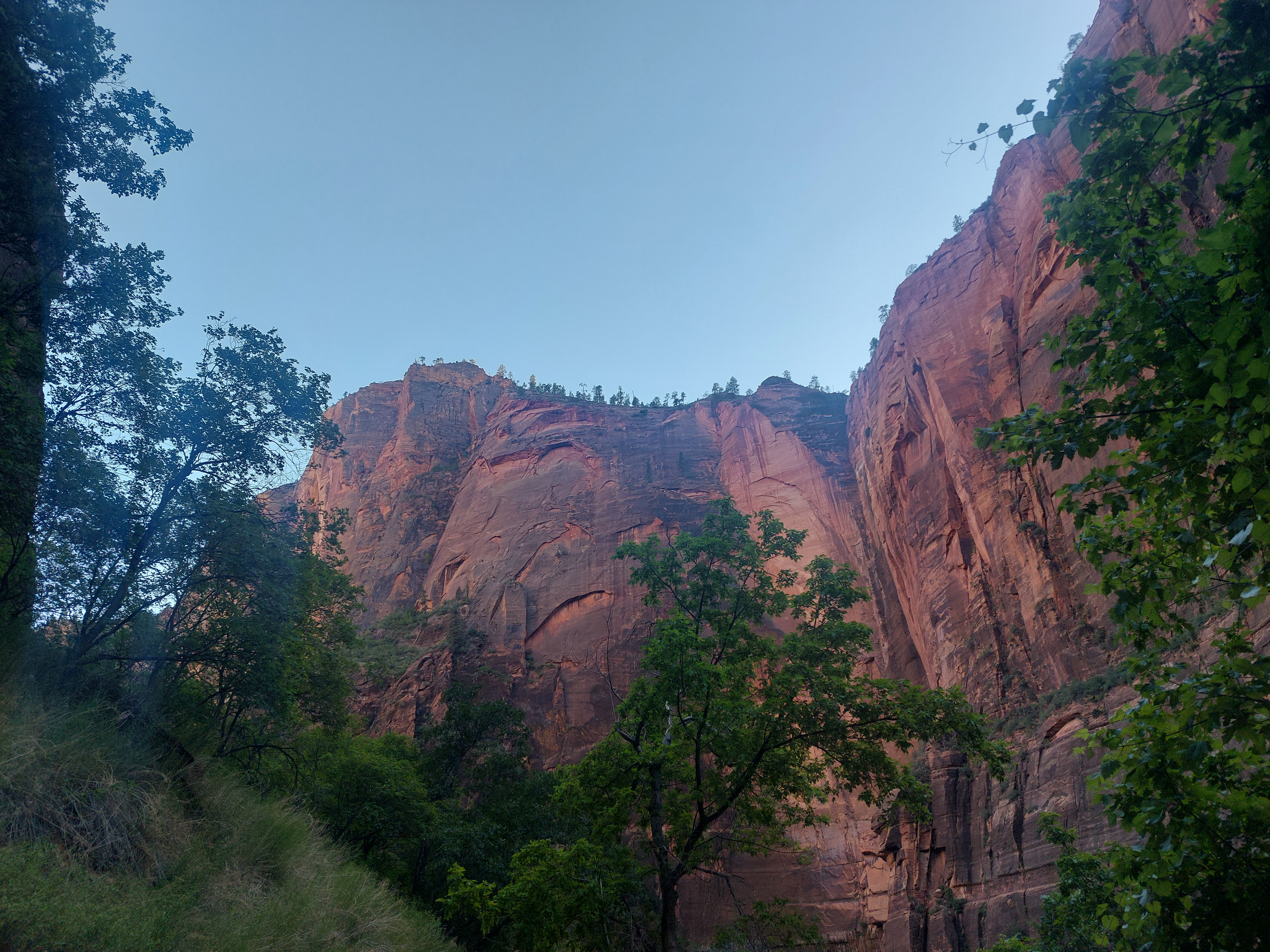Tall red canyon walls rising above green trees.